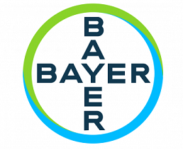 Bayer-Logo-500x281